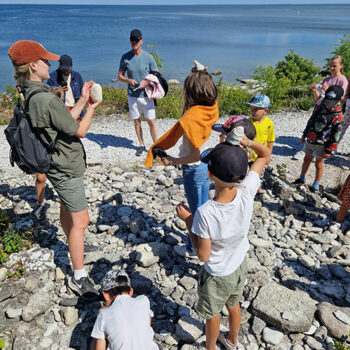 En guide visar fossiler för en grupp besökare.